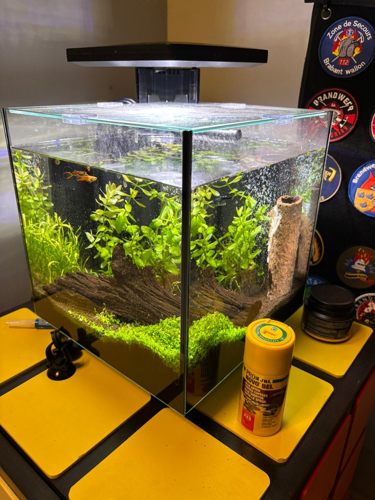 Aquarium 15l, Ophalen, Inclusief vissen, Overige typen, Nieuw