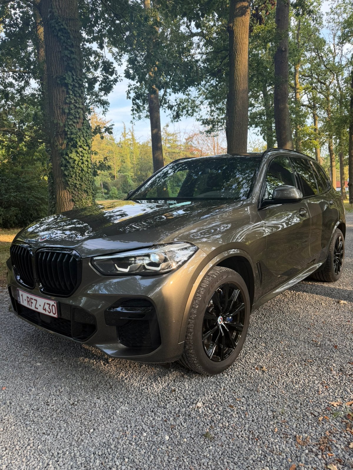 'Bmw X5 3 D 2022 Garantie Bmw 10/2027 onderhoudshistoriek, Automaat, Leder, Bruin, Diesel