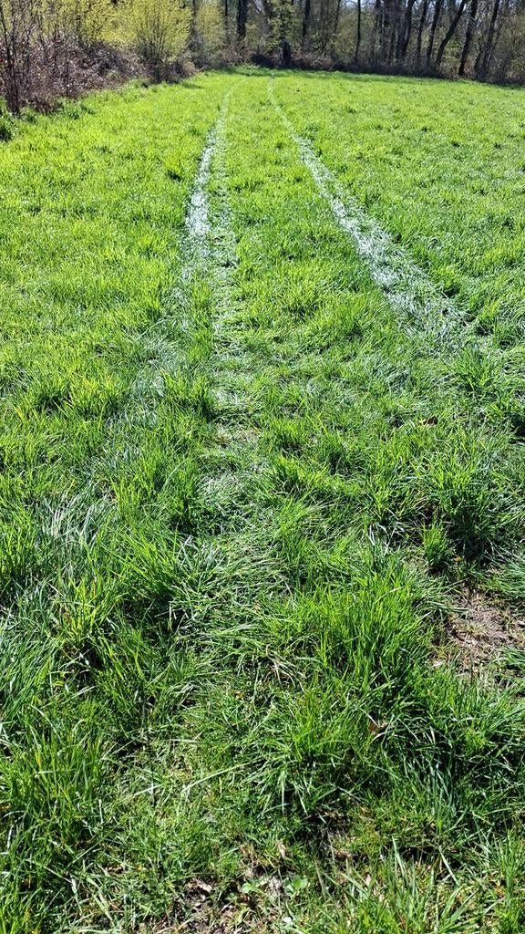 weide 53are te huur voor max 2 paarden te oudsbergen, Enlèvement