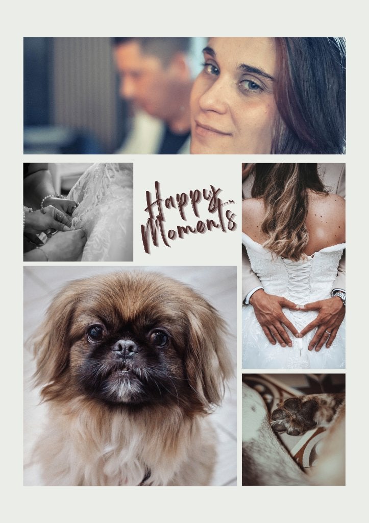 Photographe Portrait/ Animaux/ Mariage, Hobby & Loisirs créatifs, Enlèvement ou Envoi, Neuf