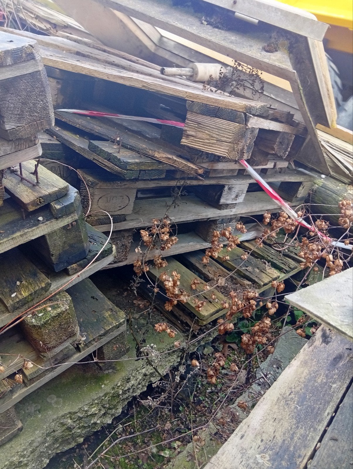 verschillende soorten hout, Ophalen