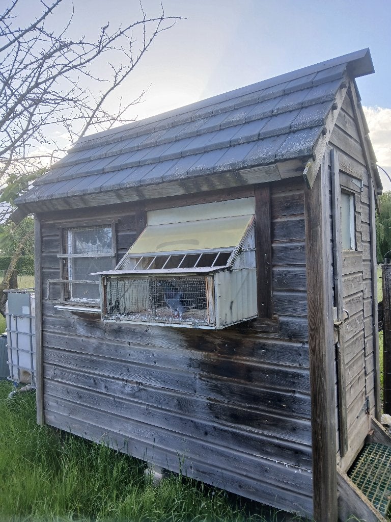 Duivenhok, Ophalen, Gebruikt, Hout, Volière