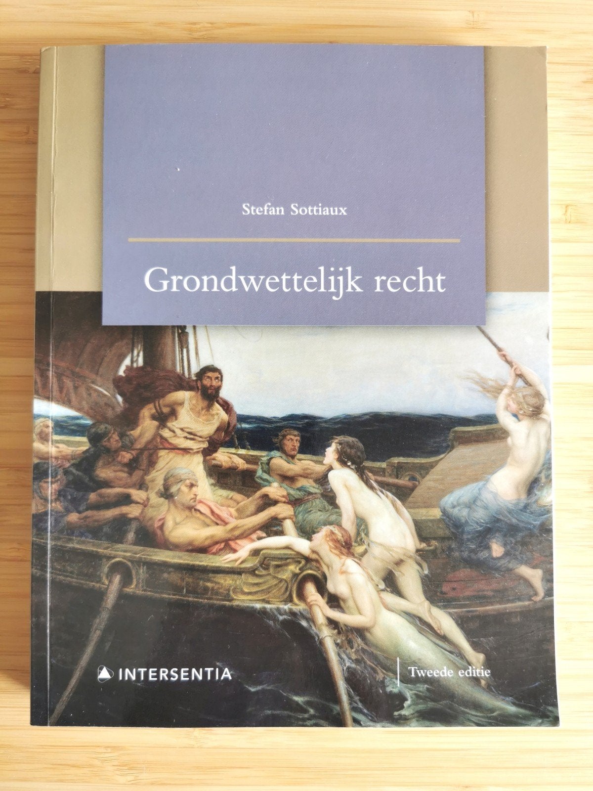 Stefan Sottiaux - Grondwettelijk recht (tweede editie), Ophalen of Verzenden, Nieuw, Stefan Sottiaux