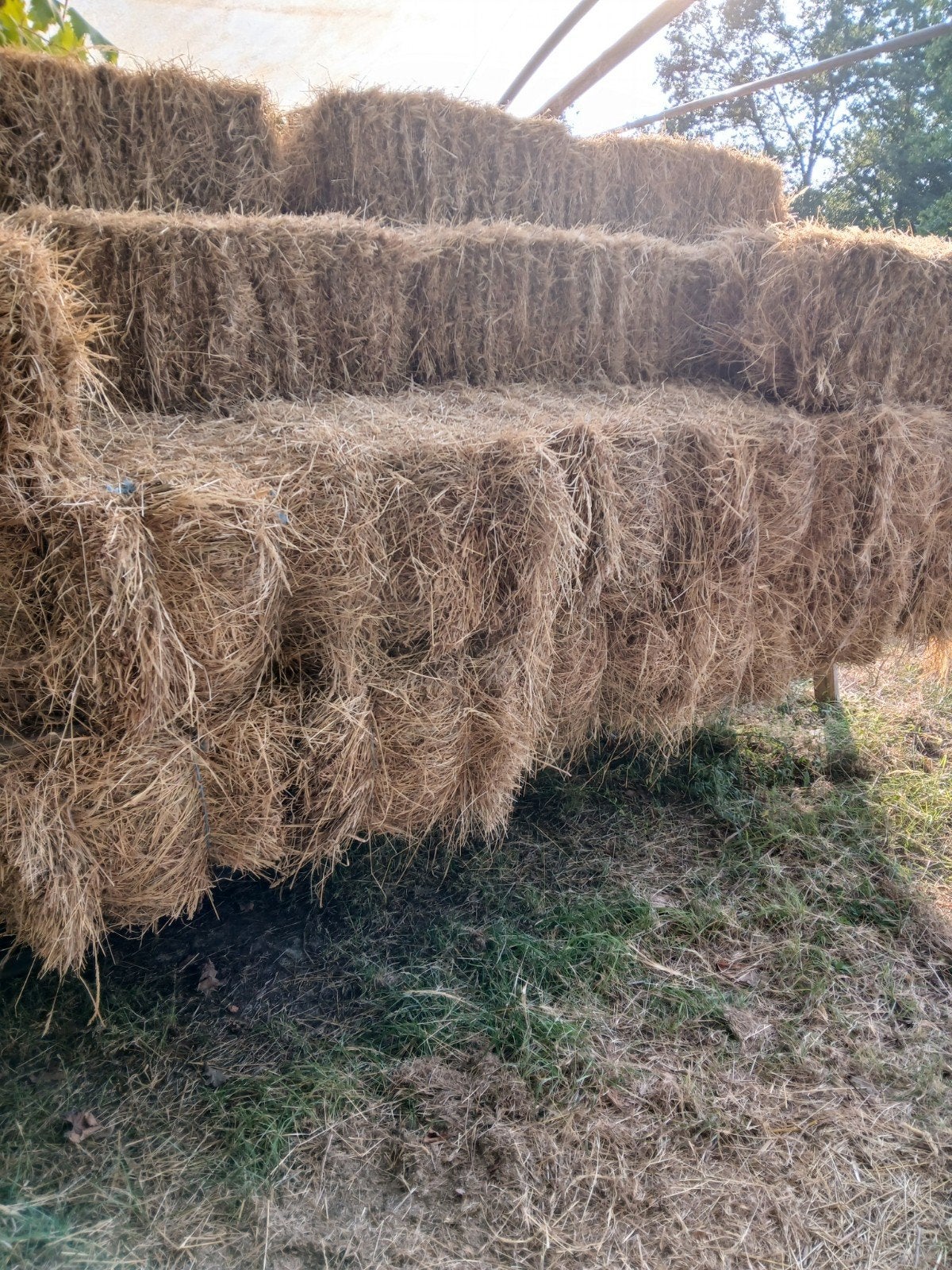 kleine balen hooi, Enlèvement
