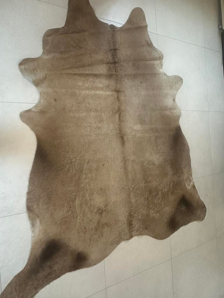 agnifique tapis en véritable peau de vache beige, Enlèvement, Comme neuf, Beige