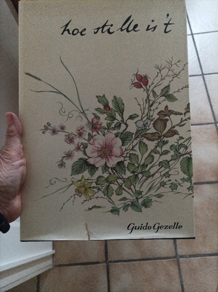 Hoe stille is 't  gedichten van Guido Gezelle, Guido Gezelle, Eén auteur, Ophalen, Gelezen