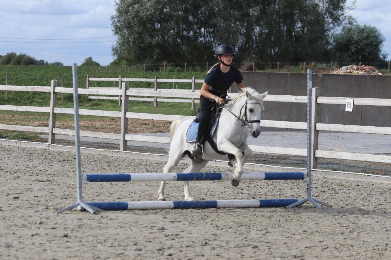 Een superlief ponymaatje!, Dieren en Toebehoren, Ruin