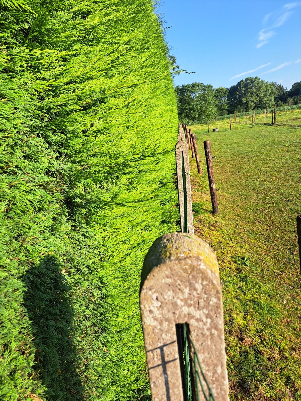 Tuinhulp, Jardin & Terrasse, Jardin & Terrasse Autre, Enlèvement