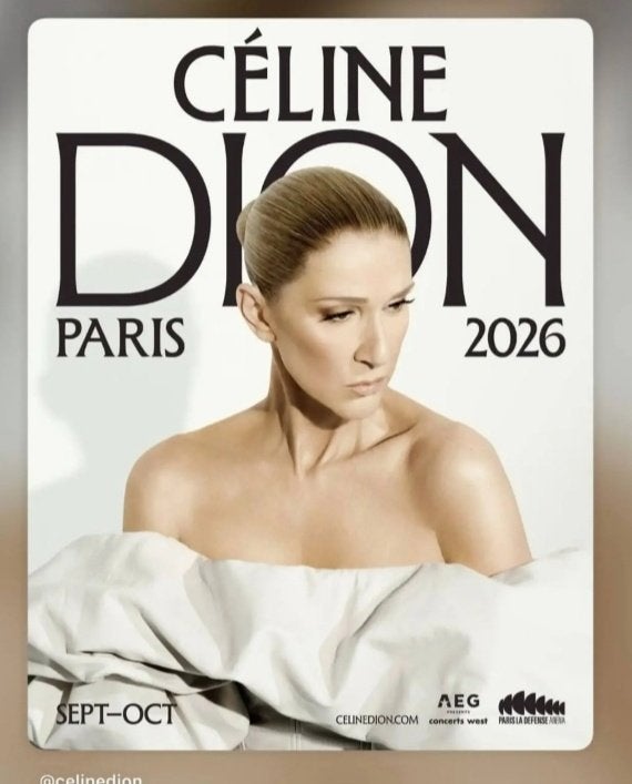 1 place concert Céline Dion 30 septembre, Tickets & Billets, Une personne, Septembre, Autres types