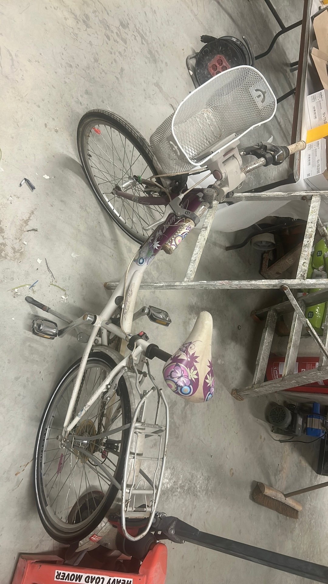 Meisjes fiets, Enlèvement