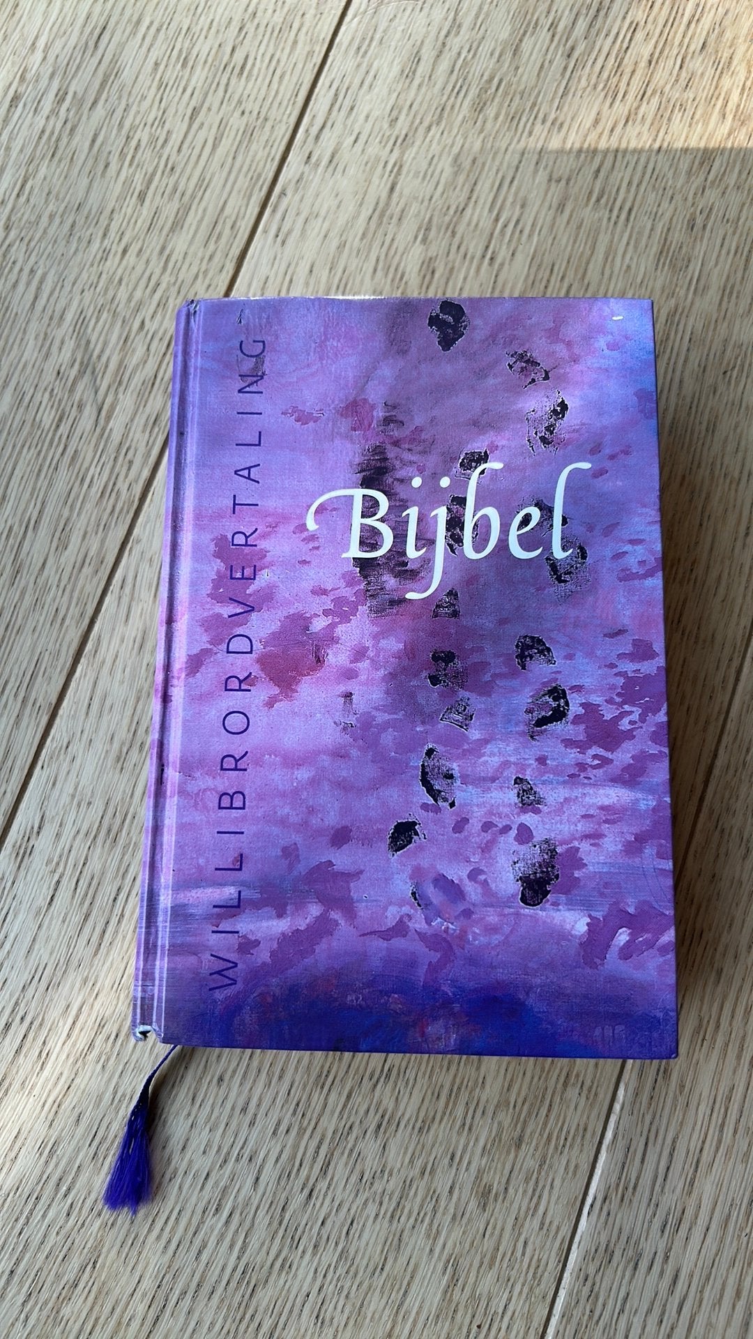 Schoolbijbel Willibrordvertaling 2012, Boeken, Godsdienst en Theologie, Ophalen of Verzenden, Zo goed als nieuw, Christendom | Katholiek