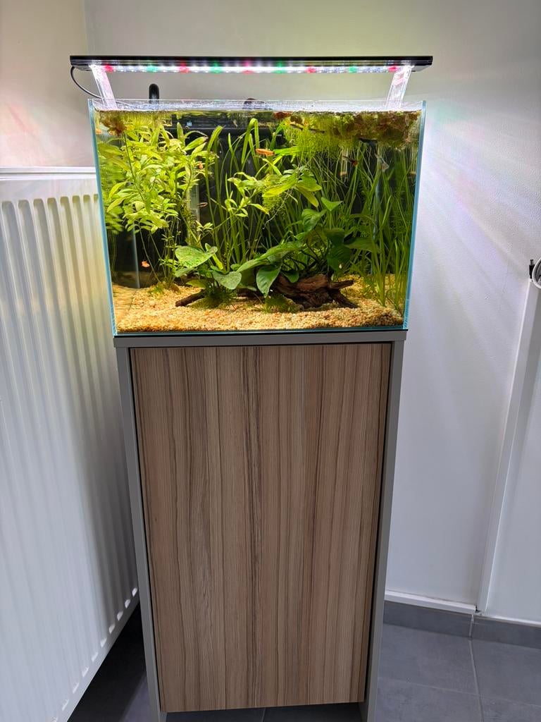 Aquarium eau douce, Enlèvement ou Envoi, Comme neuf