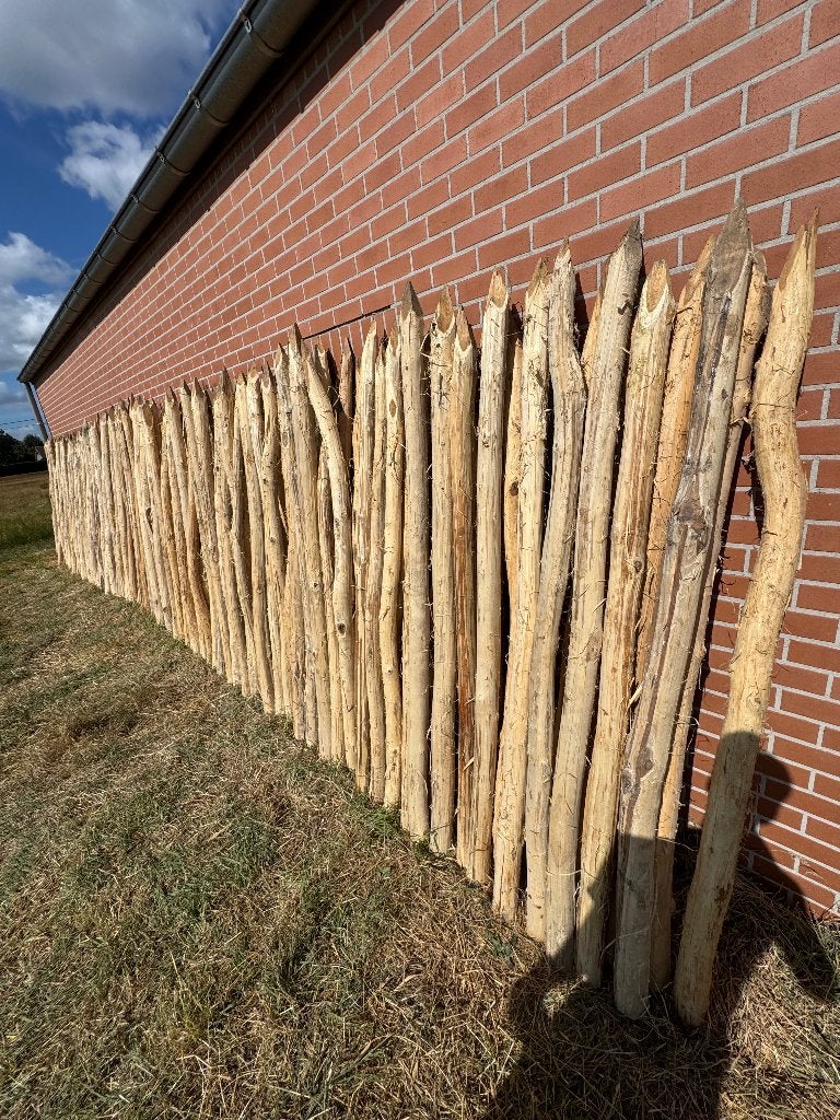 Robinia palen, Ophalen, Palen, Zo goed als nieuw, Hardhout