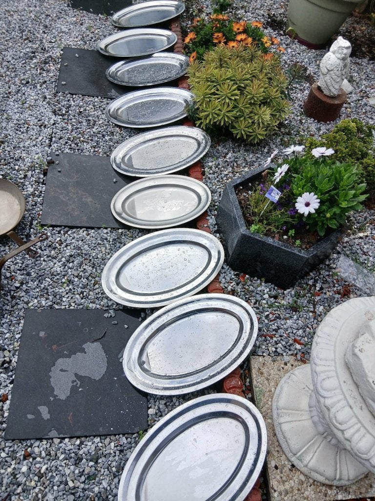 10 inox plateau"s, Enlèvement, Comme neuf, Inox, Autres types