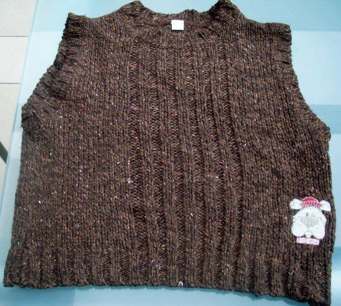 Debardeur van FS Bear maat 110, Kinderen en Baby's, Kinderkleding | Maat 110, FS Bear, Trui of Vest, Ophalen of Verzenden, Zo goed als nieuw