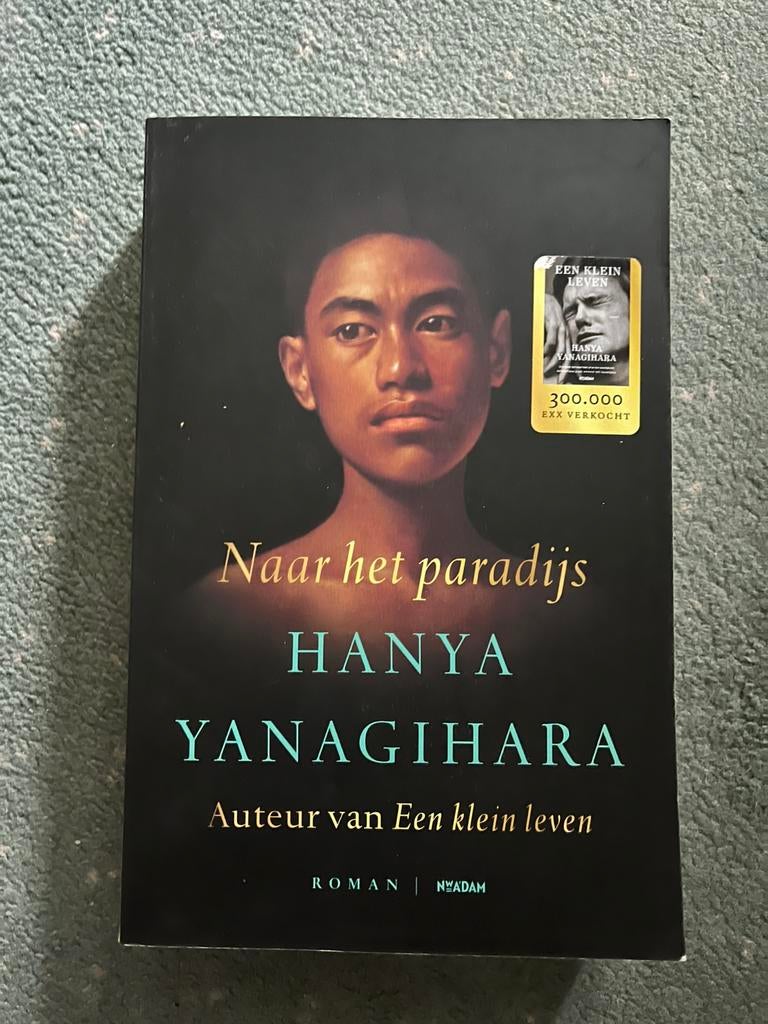 Hanya Yanagihara - Naar het paradijs, Boeken, Ophalen of Verzenden, Hanya Yanagihara, Amerika