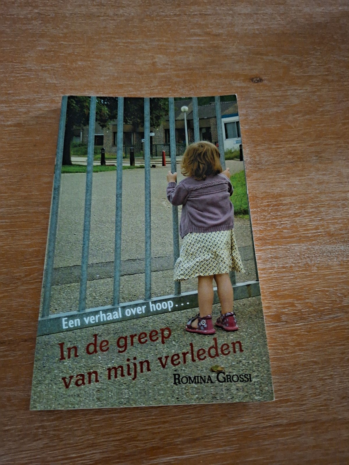 Boek In de greep van mijn verleden, Ophalen of Verzenden, Nieuw