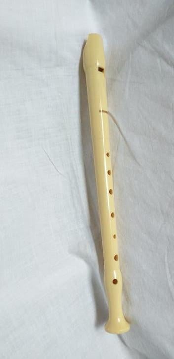 flûte à bec Hohner, Musique & Instruments, Instruments à vent | Flûtes à bec, Enlèvement ou Envoi, Utilisé