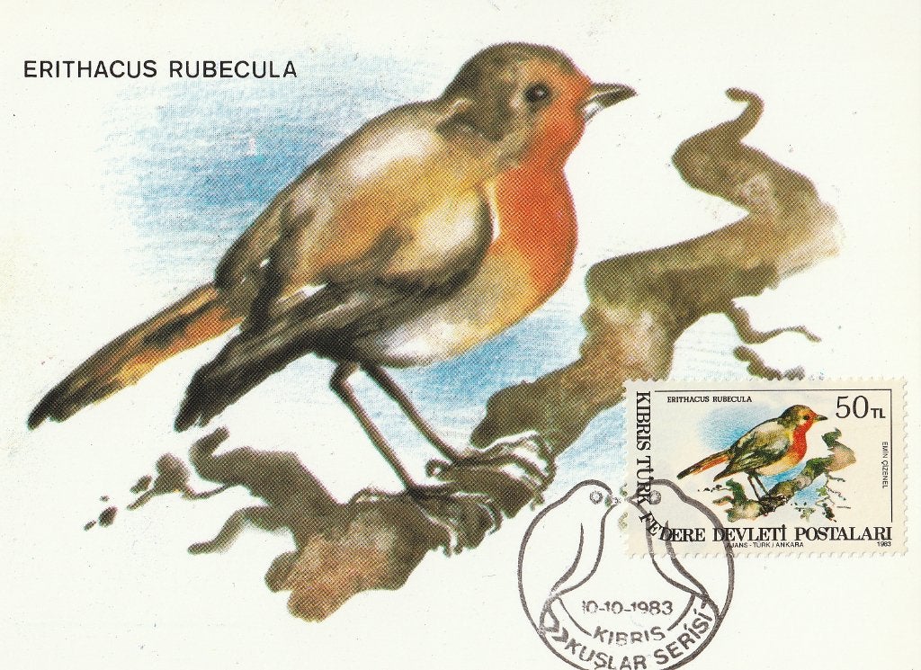 ROODBORSTJE  ( met echte Turkse zegel op voorzijde ), Verzamelen, Postkaarten | Dieren, Verzenden, 1980 tot heden, Ongelopen, Vogel