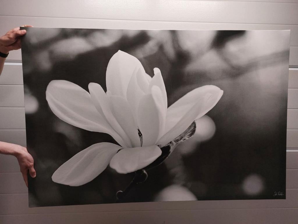 Canvas zwart-wit bloem, Ophalen
