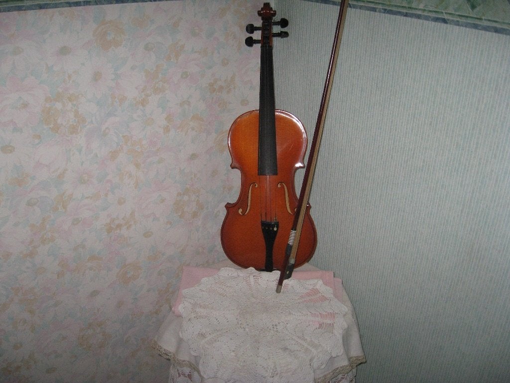viool, Muziek en Instrumenten, Ophalen, Zo goed als nieuw, Viool