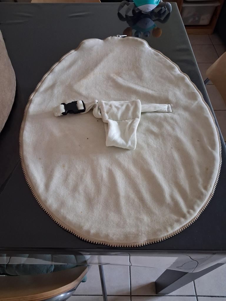 Pouf Doomoo, Enlèvement