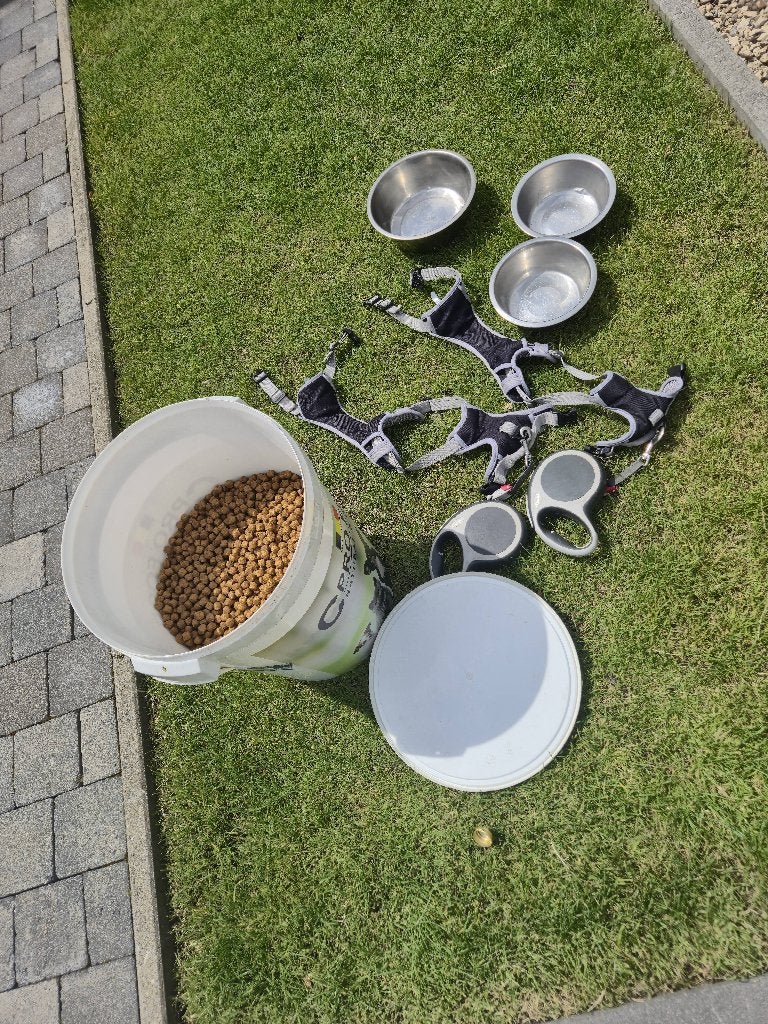 Laisses pour chiens avec harnais et sac Hills, Enlèvement, Utilisé, Laisse pour chien