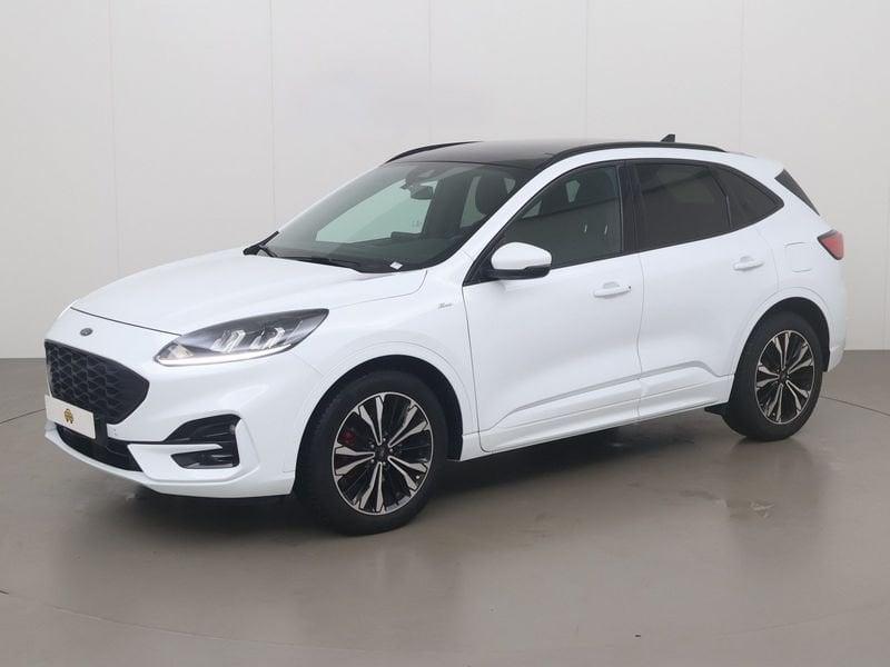Ford Kuga 1.5 ecoboost fwd st-line 150, Autos, Achat, https://public.car-pass.be/vhr/d8a1dede-6d11-468e-8d2f-75a5da552462, Entreprise