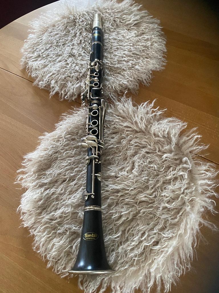 Klarinet, Muziek en Instrumenten, Kunststof, Gebruikt, Met koffer, Ophalen