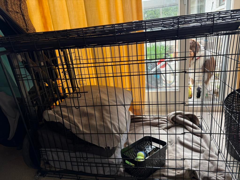 Hondenbench voor grote hond, Dieren en Toebehoren, Ophalen, Zo goed als nieuw