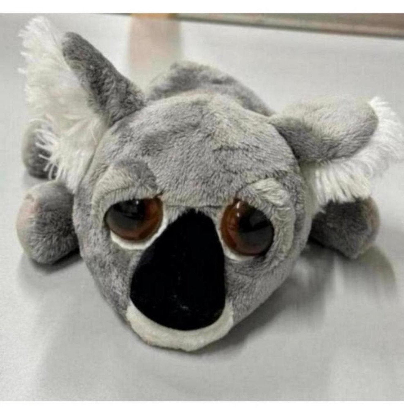 Jouet en peluche Russ Li'L Peepers Koala Bear Misha, 25 cm, Enlèvement ou Envoi, Comme neuf, Ours, Moyen (20 à 80 cm)