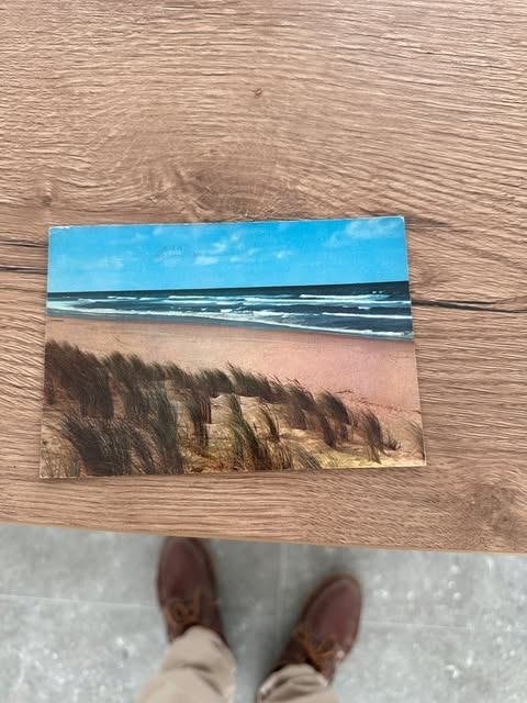carte postale bains dunes les oyats sous le vent du large, Enlèvement ou Envoi, Affranchie, Flandre Occidentale