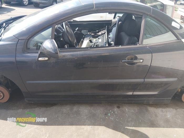 Portière 2portes gauche d'un Peugeot 207 (EXLB), -, -, 3 mois de garantie, Utilisé