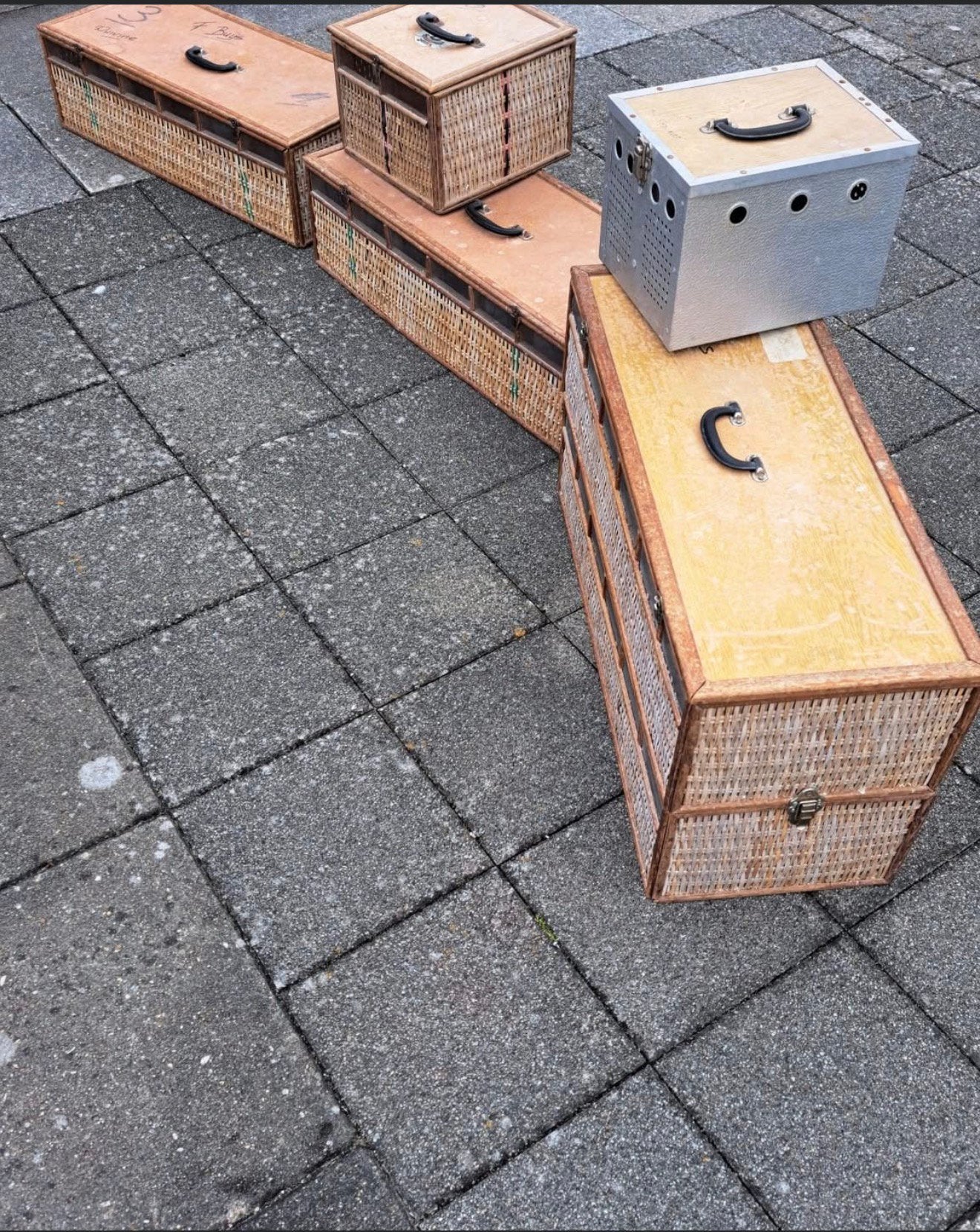 GEZOCHT – GRATIS OUDE DUIVENMANDEN