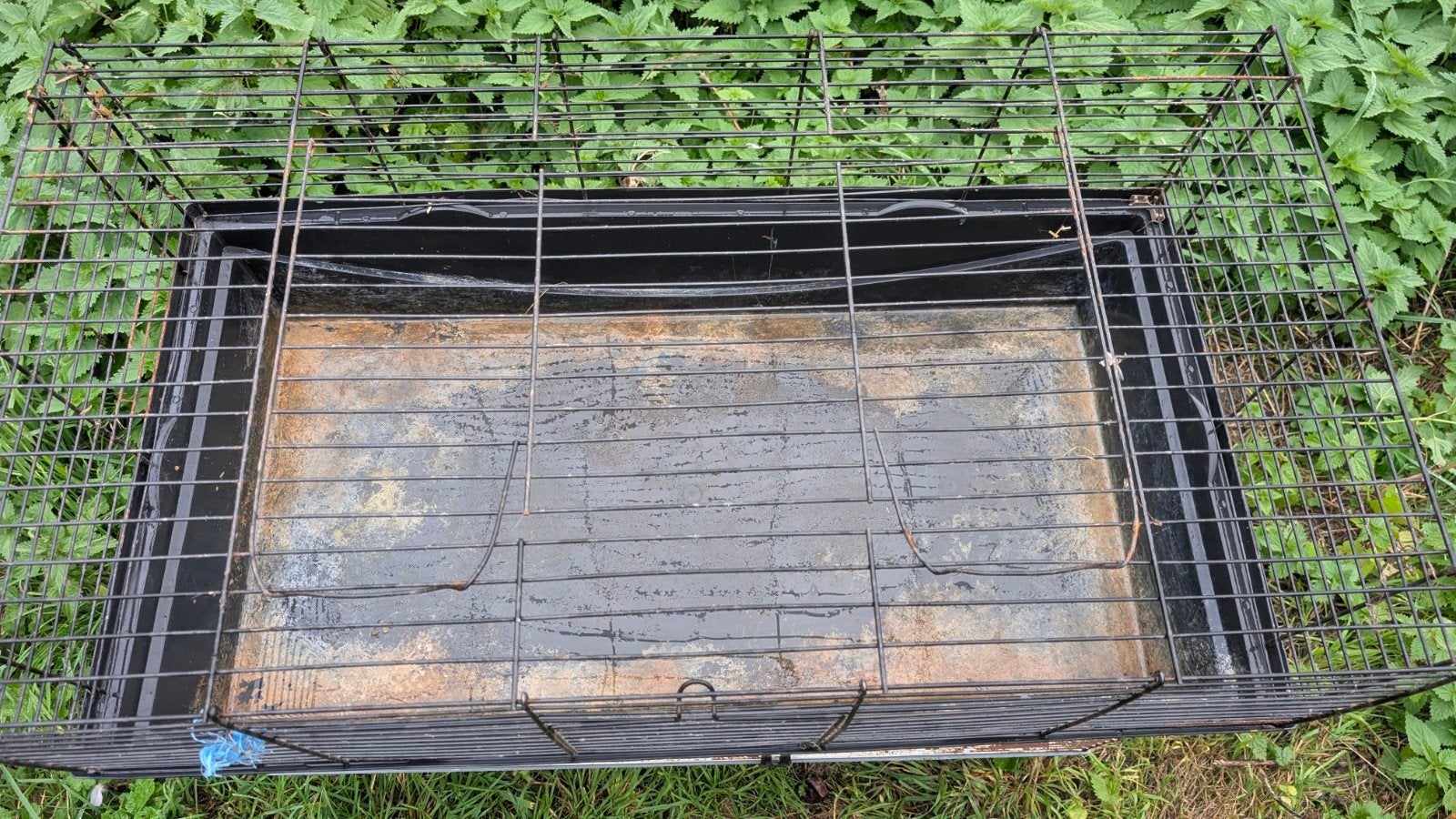 cage pour lapin, Enlèvement