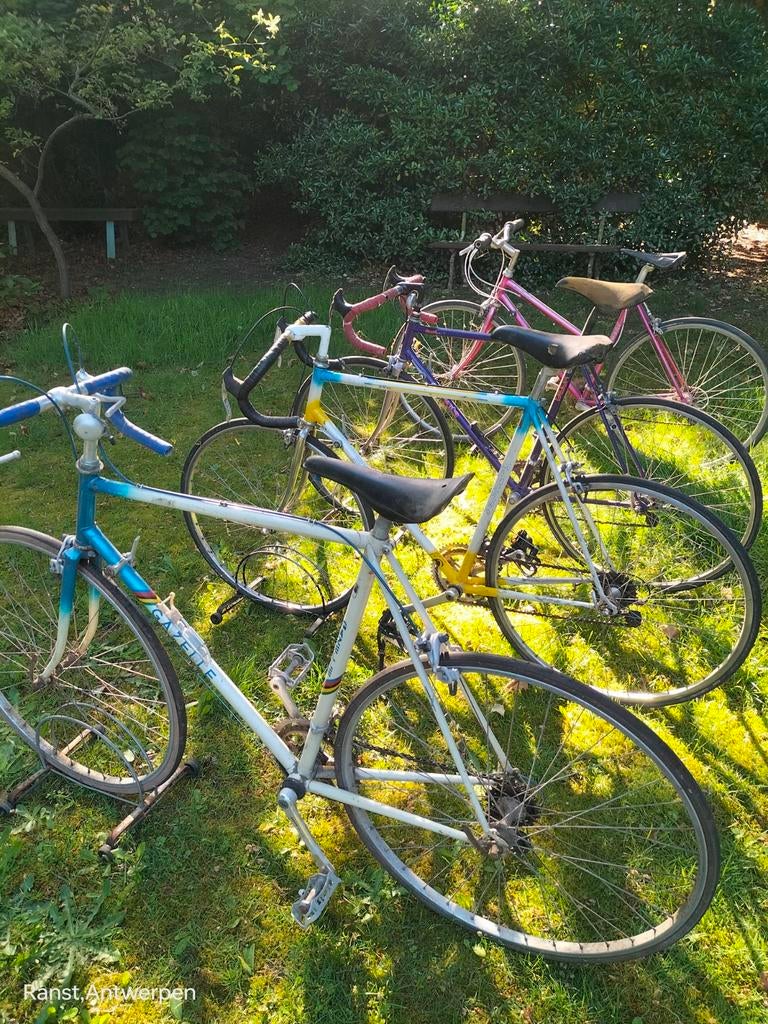 Oude koersfietsen, Fietsen en Brommers, Ophalen, Gazelle