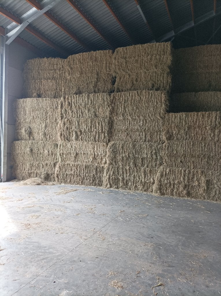agriculture , aliments pour bétail, Ophalen