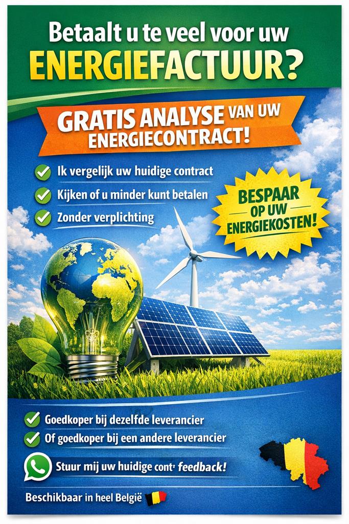 Betaalt u te veel voor uw energiefactuur?, Boeken, Ophalen, Zo goed als nieuw