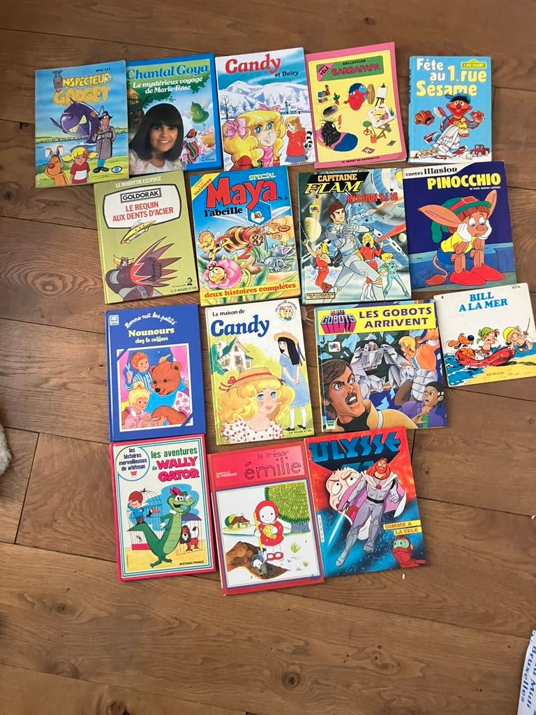Lot de livres dessins animés goldorak, Livres, Enlèvement ou Envoi, Comme neuf