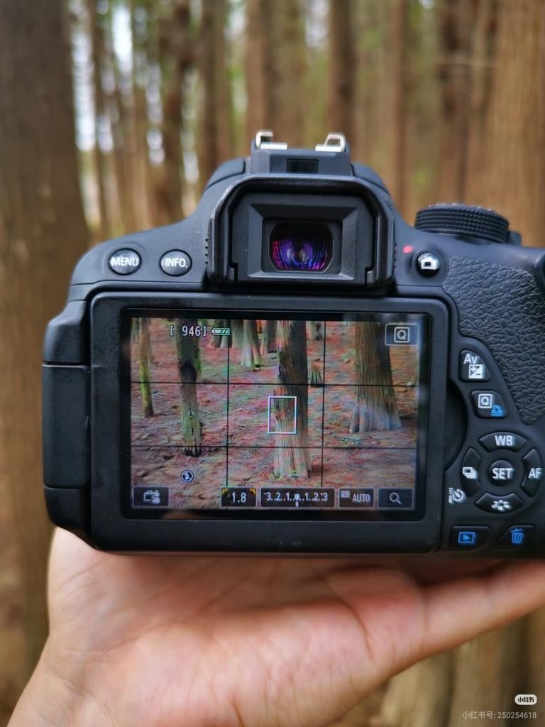 Canon EOS700D, Ophalen, Canon