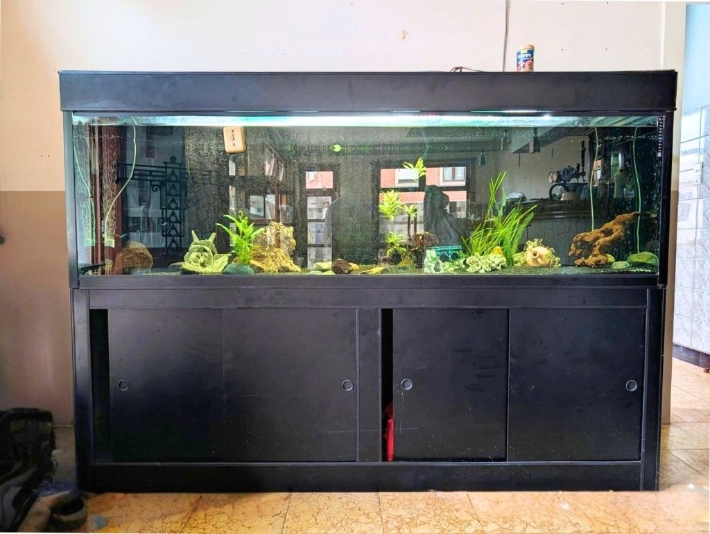 Aquarium 200x60x60 met meubel en toebehoren, Dieren en Toebehoren, Gebruikt, Leeg aquarium, Tetra, Ophalen