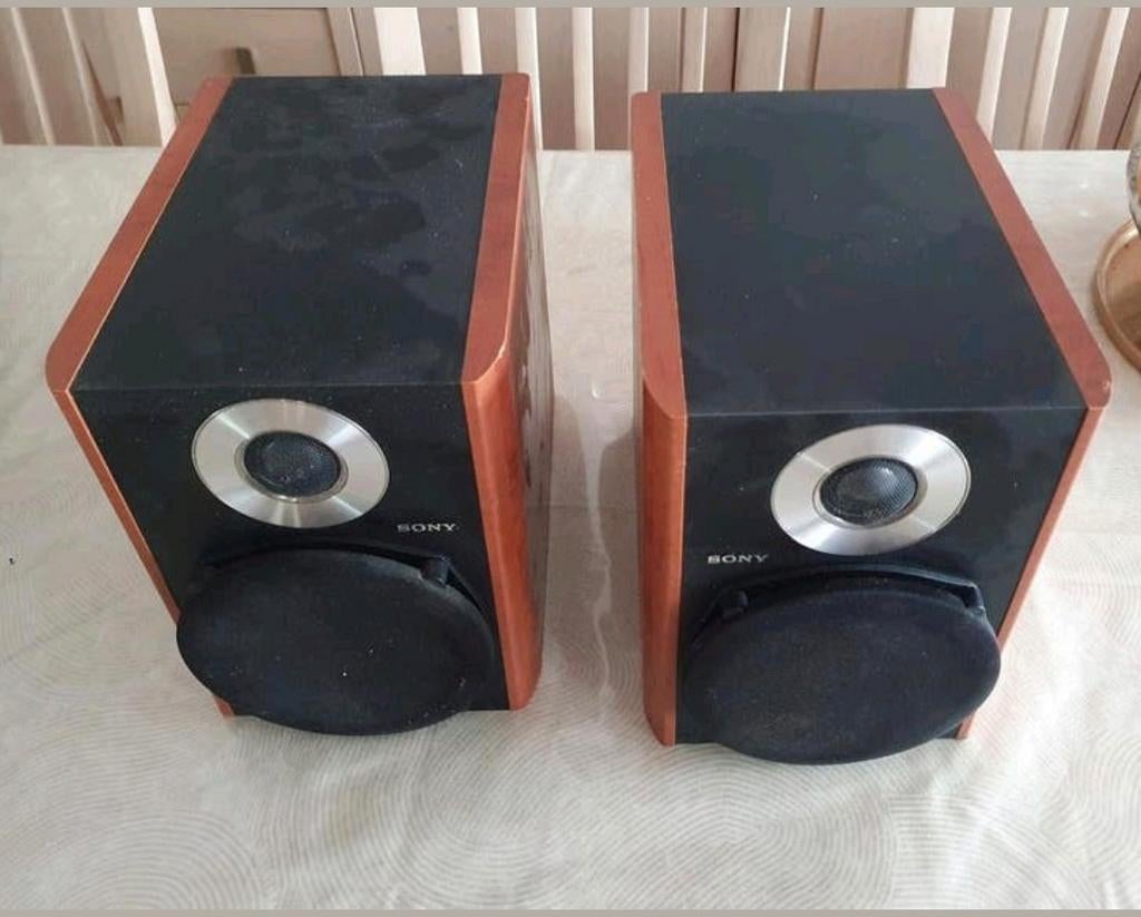 Double enceintes Sony en très bon état, Enlèvement