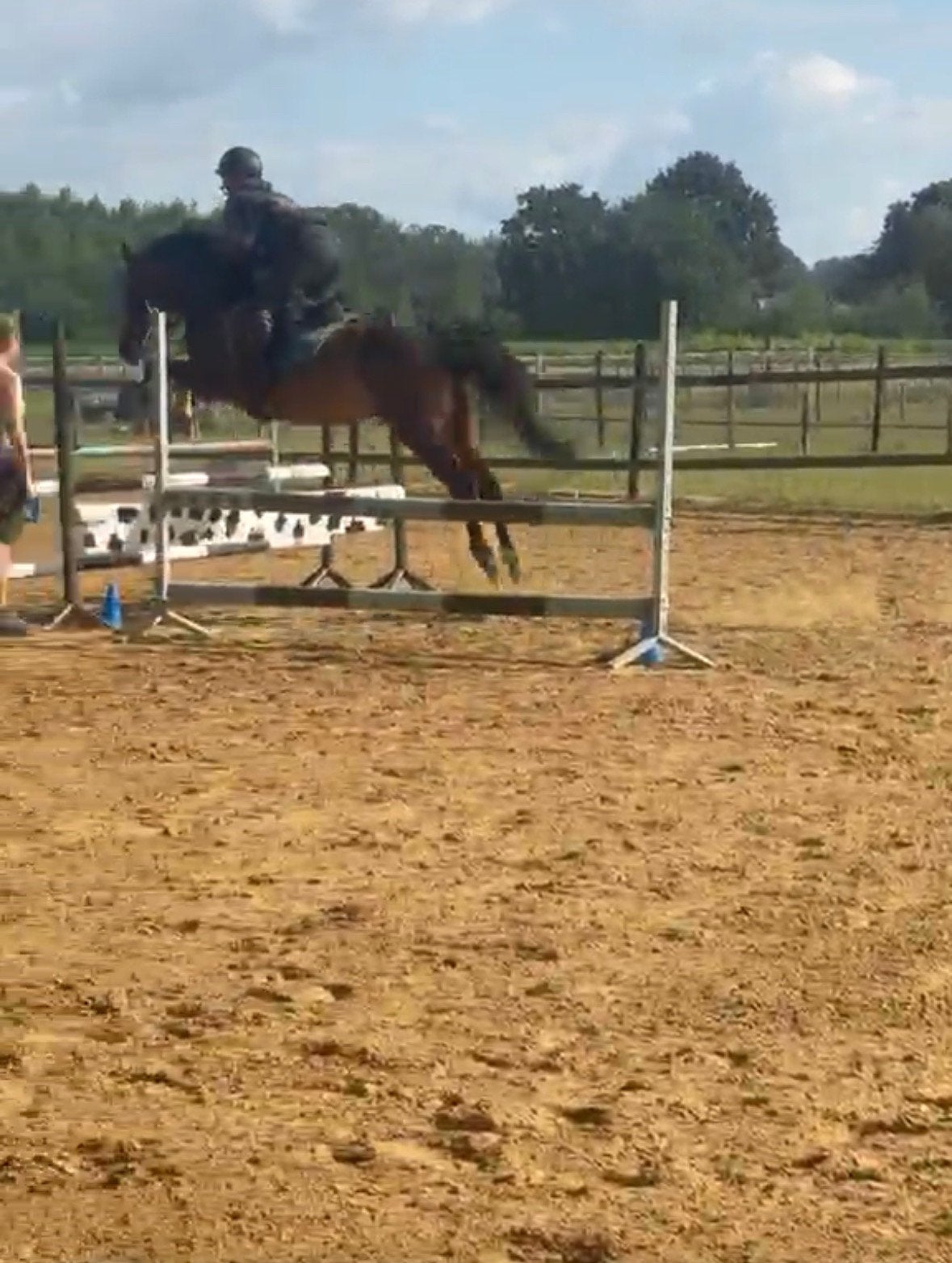 Verzorgpony gezocht!, Animaux & Accessoires, Chevaux, Ne s'applique pas, 11 ans ou plus, Cheval de récréation