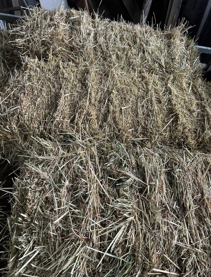 Hooi kleine balen, Dieren en Toebehoren, Ophalen