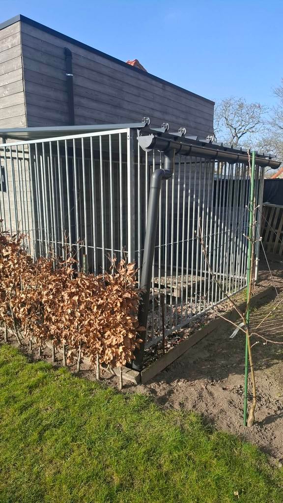 Hondenren, Dieren en Toebehoren, Hondenhokken, Ophalen, Zo goed als nieuw