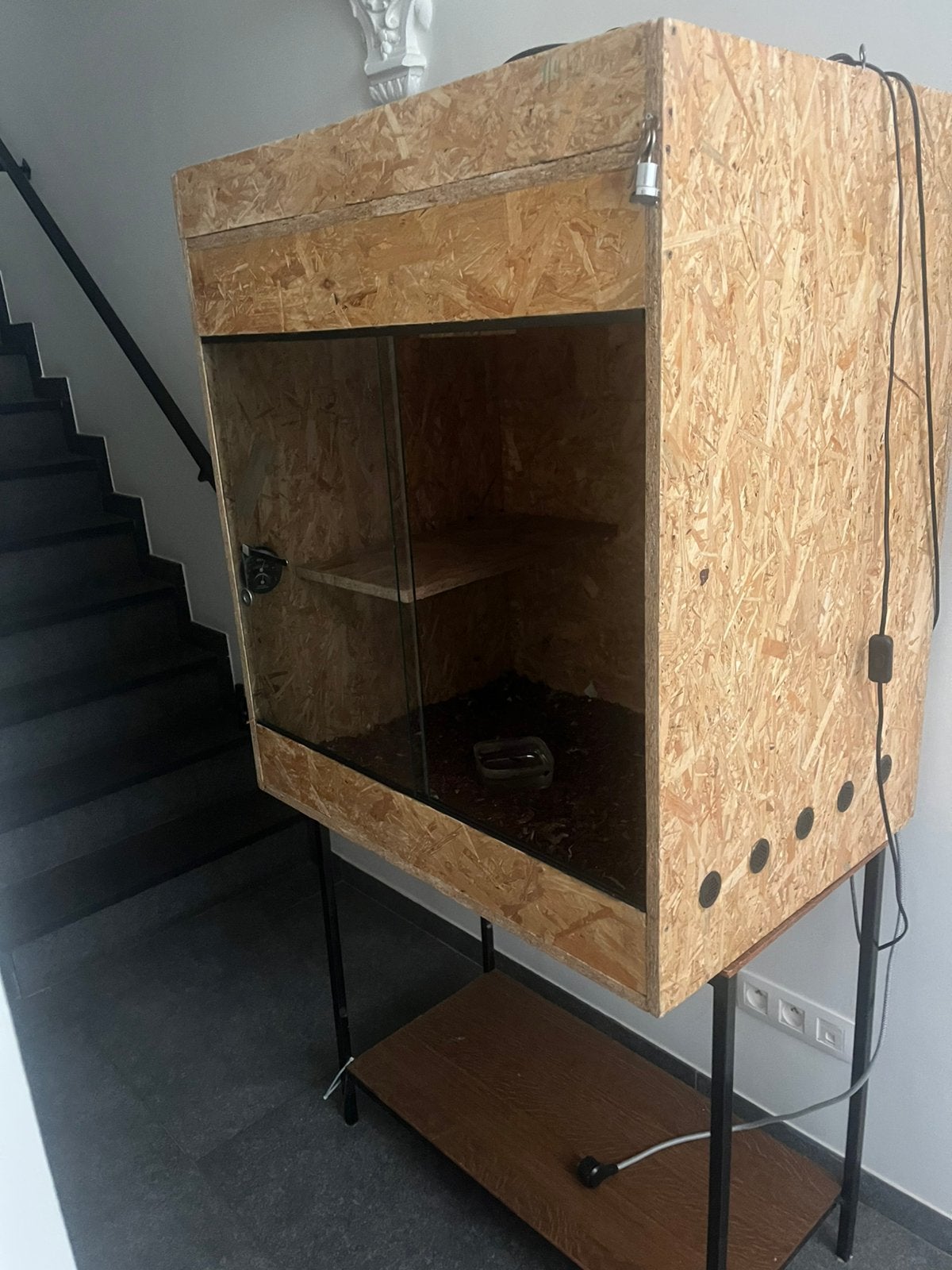 Terrarium in OSB, Enlèvement, Utilisé