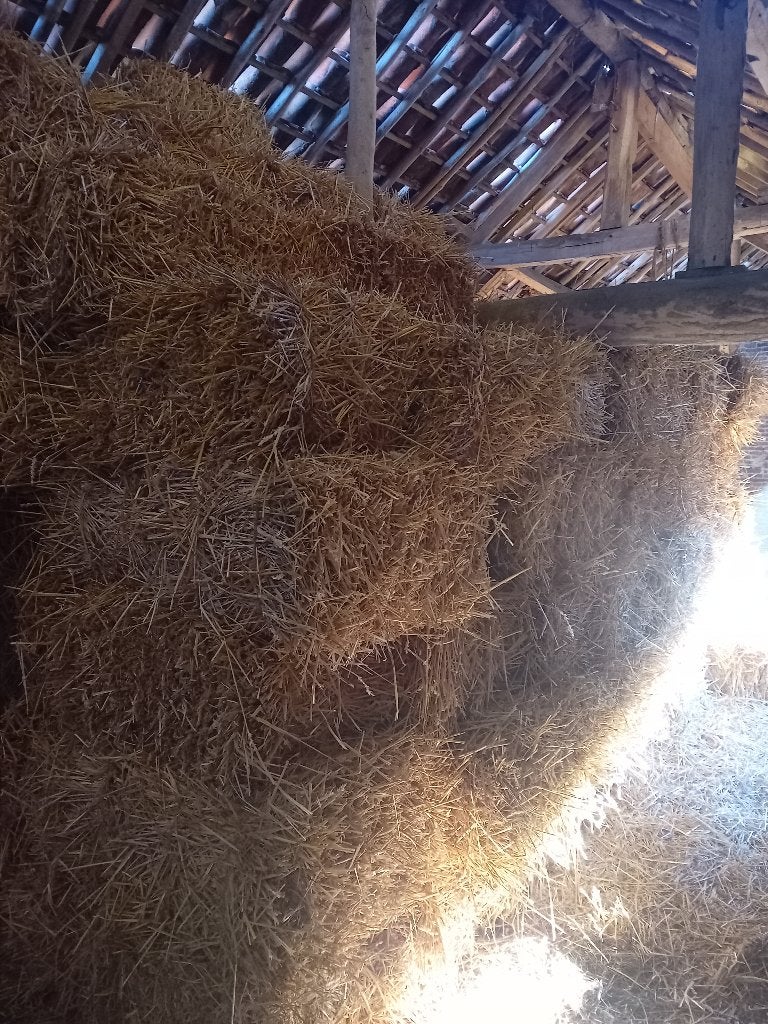 Kleine pakjes tarwestro, Zakelijke goederen, Landbouw | Veevoer, Ophalen