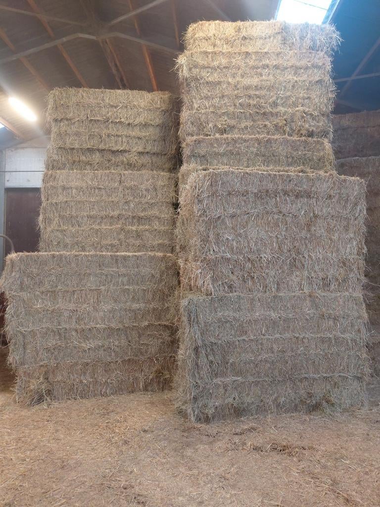 Hooi mooie kwaliteit, Ophalen