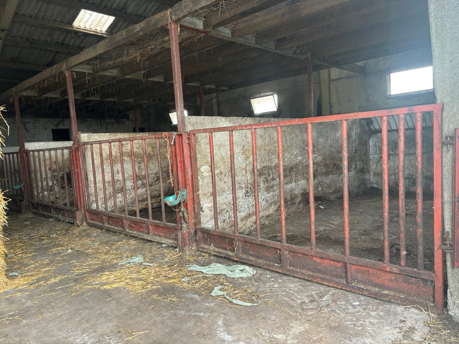 paardenboxen te huur, Dieren en Toebehoren