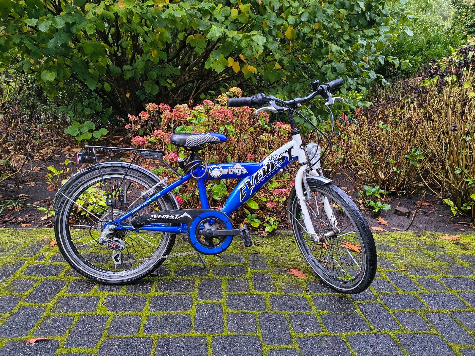 Jongensfiets 20 Inch 6 versnellingen, Fietsen en Brommers, Ophalen, Gebruikt, Velgrem, Wings Everest